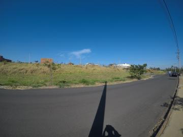 Alugar Terreno / Padr&atilde;o em Bady Bassitt. apenas R$ 92.200,00