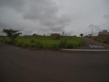 Alugar Terreno / Padr&atilde;o em Bady Bassitt. apenas R$ 105.000,00