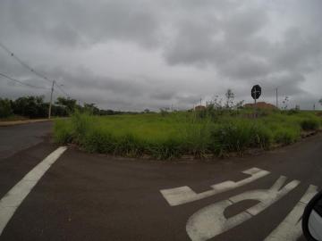 Comprar Terreno / Padr&atilde;o em Bady Bassitt R$ 105.000,00 - Foto 2