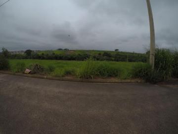 Comprar Terreno / Padr&atilde;o em Bady Bassitt R$ 53.000,00 - Foto 2