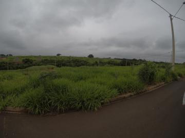 Alugar Terreno / Padr&atilde;o em Bady Bassitt. apenas R$ 61.000,00