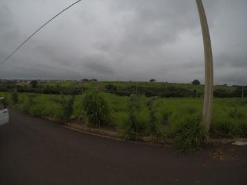 Comprar Terreno / Padr&atilde;o em Bady Bassitt R$ 61.000,00 - Foto 2