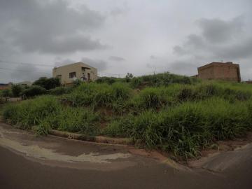 Alugar Terreno / Padr&atilde;o em Bady Bassitt. apenas R$ 53.000,00