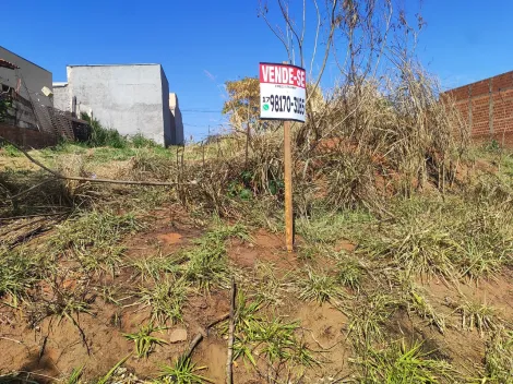 Comprar Terreno / Padr&atilde;o em Bady Bassitt R$ 53.000,00 - Foto 8
