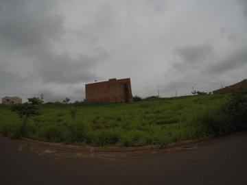 Terreno / Padr&atilde;o em Bady Bassitt 