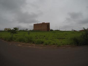 Comprar Terreno / Padr&atilde;o em Bady Bassitt R$ 53.000,00 - Foto 2
