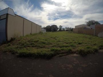 Comprar Terreno / Padr&atilde;o em Bady Bassitt R$ 220.000,00 - Foto 5
