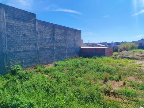 Comprar Terreno / Padr&atilde;o em Bady Bassitt R$ 220.000,00 - Foto 8