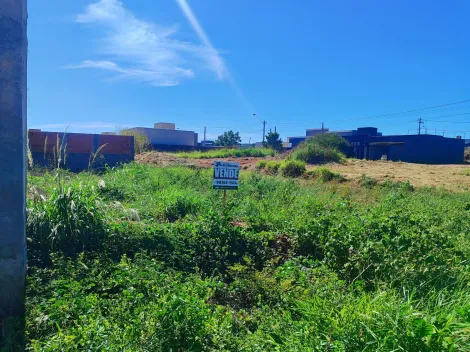 Comprar Terreno / Padr&atilde;o em Bady Bassitt R$ 220.000,00 - Foto 9
