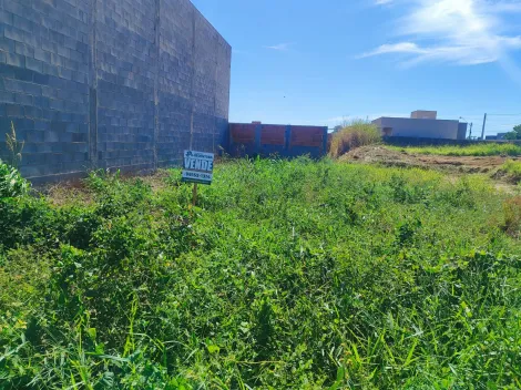 Comprar Terreno / Padr&atilde;o em Bady Bassitt R$ 220.000,00 - Foto 10