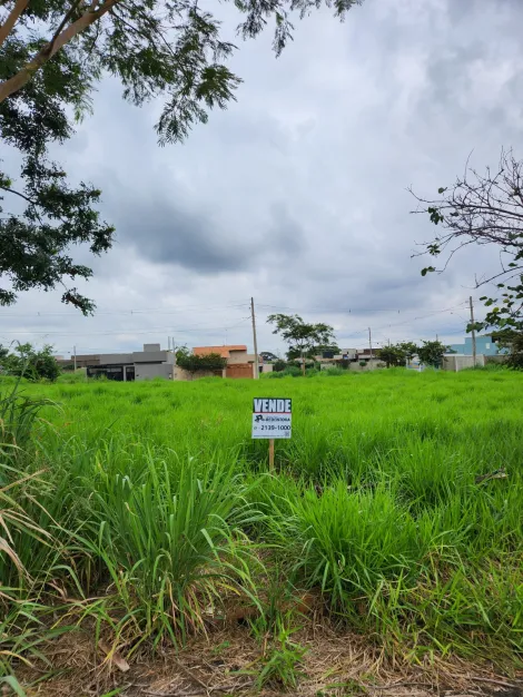 Alugar Terreno / Padr&atilde;o em S&atilde;o Jos&eacute; do Rio Preto. apenas R$ 90.000,00