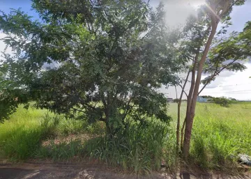 Comprar Terreno / Padr&atilde;o em S&atilde;o Jos&eacute; do Rio Preto R$ 90.000,00 - Foto 3