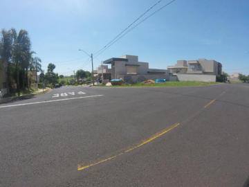 Comprar Terreno / Condom&iacute;nio em S&atilde;o Jos&eacute; do Rio Preto R$ 980.000,00 - Foto 4