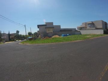 Comprar Terreno / Condom&iacute;nio em S&atilde;o Jos&eacute; do Rio Preto R$ 980.000,00 - Foto 5