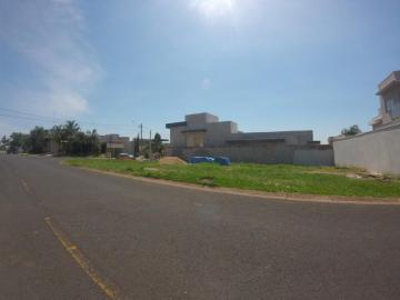 Comprar Terreno / Condom&iacute;nio em S&atilde;o Jos&eacute; do Rio Preto R$ 980.000,00 - Foto 7