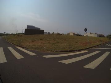 Comprar Terreno / Padr&atilde;o em S&atilde;o Jos&eacute; do Rio Preto R$ 230.000,00 - Foto 2