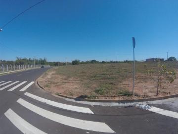 Comprar Terreno / Padr&atilde;o em S&atilde;o Jos&eacute; do Rio Preto R$ 180.000,00 - Foto 3