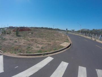 Comprar Terreno / Padr&atilde;o em S&atilde;o Jos&eacute; do Rio Preto R$ 145.000,00 - Foto 2