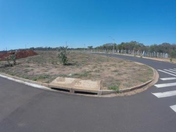 Comprar Terreno / Padr&atilde;o em S&atilde;o Jos&eacute; do Rio Preto R$ 145.000,00 - Foto 4