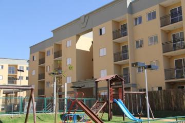 Alugar Apartamento / Padr&atilde;o em S&atilde;o Jos&eacute; do Rio Preto R$ 650,00 - Foto 3