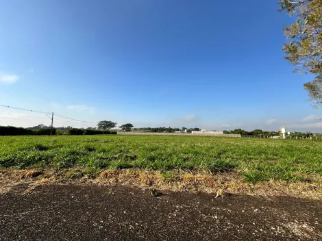 Comprar Terreno / Condom&iacute;nio em S&atilde;o Jos&eacute; do Rio Preto R$ 900.000,00 - Foto 7