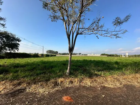 Comprar Terreno / Condom&iacute;nio em S&atilde;o Jos&eacute; do Rio Preto R$ 900.000,00 - Foto 2