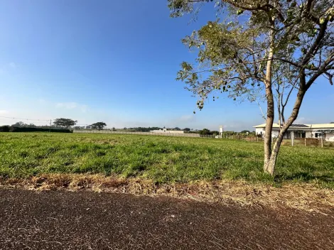 Comprar Terreno / Condom&iacute;nio em S&atilde;o Jos&eacute; do Rio Preto R$ 900.000,00 - Foto 12