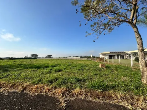 Comprar Terreno / Condom&iacute;nio em S&atilde;o Jos&eacute; do Rio Preto R$ 900.000,00 - Foto 13