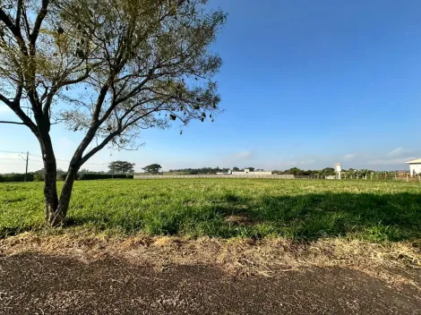 Comprar Terreno / Condom&iacute;nio em S&atilde;o Jos&eacute; do Rio Preto R$ 900.000,00 - Foto 14