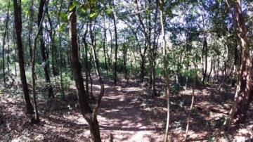 Comprar Terreno / Condom&iacute;nio em S&atilde;o Jos&eacute; do Rio Preto R$ 900.000,00 - Foto 26