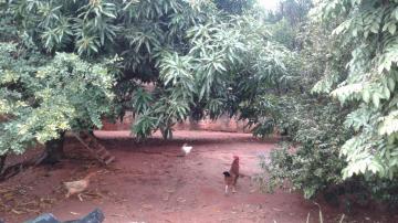 Alugar Casa / Padr&atilde;o em S&atilde;o Jos&eacute; do Rio Preto R$ 1.500,00 - Foto 21