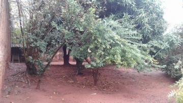 Alugar Casa / Padr&atilde;o em S&atilde;o Jos&eacute; do Rio Preto R$ 1.500,00 - Foto 41