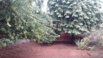 Alugar Casa / Padr&atilde;o em S&atilde;o Jos&eacute; do Rio Preto R$ 1.500,00 - Foto 43