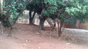 Alugar Casa / Padr&atilde;o em S&atilde;o Jos&eacute; do Rio Preto R$ 1.500,00 - Foto 45
