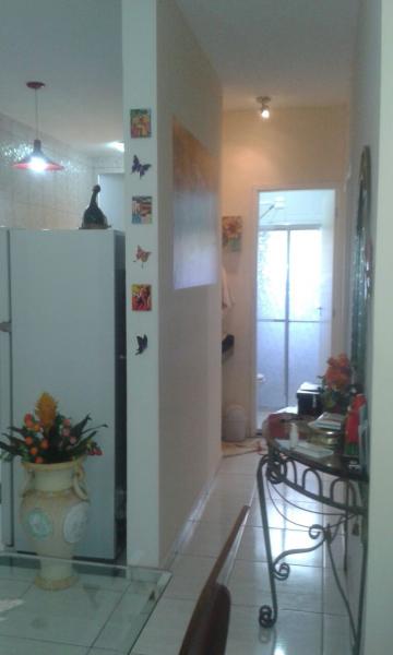 Alugar Apartamento / Padr&atilde;o em S&atilde;o Jos&eacute; do Rio Preto R$ 1.200,00 - Foto 11