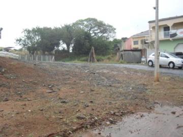 Comprar Terreno / &Aacute;rea em S&atilde;o Jos&eacute; do Rio Preto R$ 700.000,00 - Foto 16