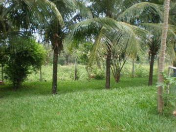 Comprar Rural / Ch&aacute;cara em Ipigu&aacute; R$ 5.000.000,00 - Foto 5