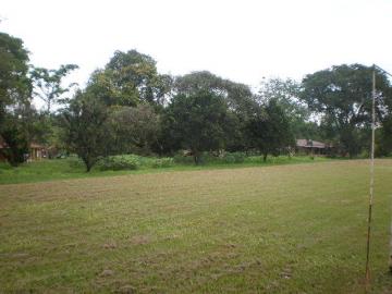Comprar Rural / Ch&aacute;cara em Ipigu&aacute; R$ 5.000.000,00 - Foto 17