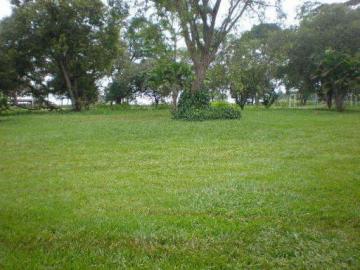 Comprar Rural / Ch&aacute;cara em Ipigu&aacute; R$ 5.000.000,00 - Foto 14