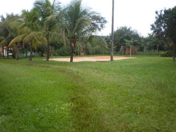 Comprar Rural / Ch&aacute;cara em Ipigu&aacute; R$ 5.000.000,00 - Foto 12