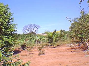 Comprar Rural / Ch&aacute;cara em S&atilde;o Jos&eacute; do Rio Preto R$ 16.800.000,00 - Foto 9