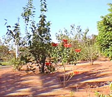 Comprar Rural / Ch&aacute;cara em S&atilde;o Jos&eacute; do Rio Preto R$ 16.800.000,00 - Foto 8