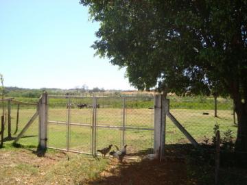 Comprar Rural / Ch&aacute;cara em S&atilde;o Jos&eacute; do Rio Preto R$ 1.300.000,00 - Foto 33