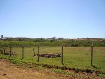Comprar Rural / Ch&aacute;cara em S&atilde;o Jos&eacute; do Rio Preto R$ 1.300.000,00 - Foto 34