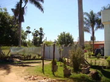 Comprar Rural / Ch&aacute;cara em S&atilde;o Jos&eacute; do Rio Preto R$ 1.300.000,00 - Foto 36