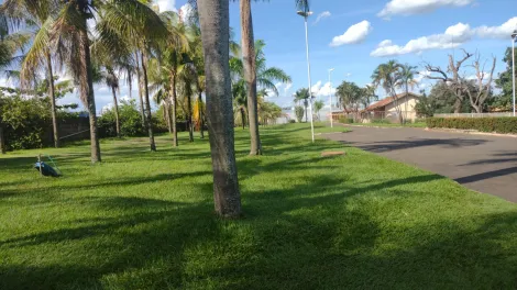 Comprar Rural / Ch&aacute;cara em S&atilde;o Jos&eacute; do Rio Preto R$ 6.500.000,00 - Foto 40