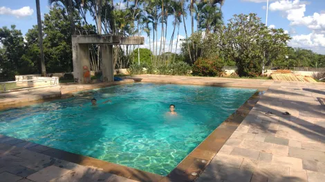 Comprar Rural / Ch&aacute;cara em S&atilde;o Jos&eacute; do Rio Preto R$ 6.500.000,00 - Foto 41