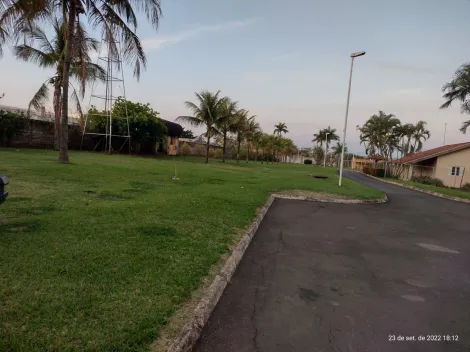 Comprar Rural / Ch&aacute;cara em S&atilde;o Jos&eacute; do Rio Preto R$ 6.500.000,00 - Foto 44