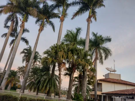 Comprar Rural / Ch&aacute;cara em S&atilde;o Jos&eacute; do Rio Preto R$ 6.500.000,00 - Foto 47