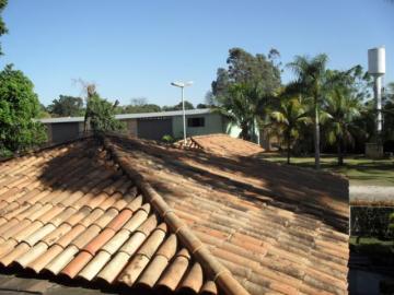 Comprar Rural / Ch&aacute;cara em S&atilde;o Jos&eacute; do Rio Preto R$ 6.500.000,00 - Foto 30